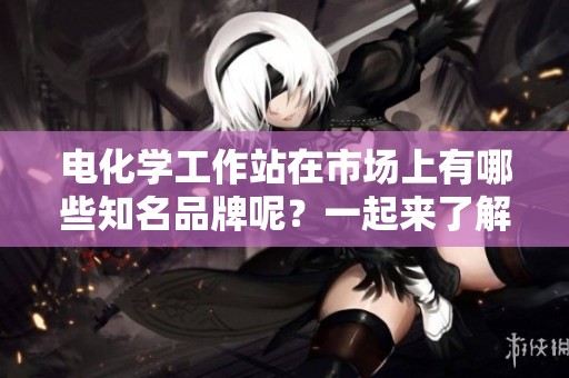 电化学工作站在市场上有哪些知名品牌呢？一起来了解一下它们都有哪些特色吧！