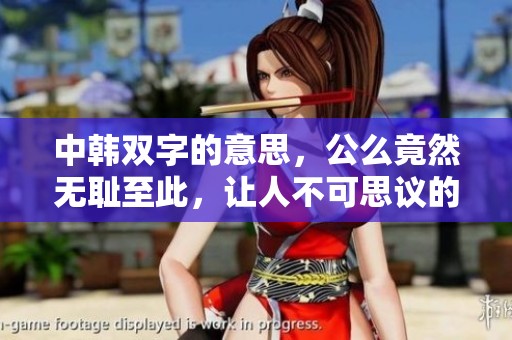 中韩双字的意思，公么竟然无耻至此，让人不可思议的要求