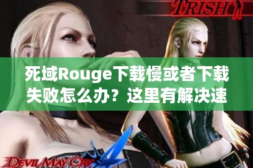 死域Rouge下载慢或者下载失败怎么办？这里有解决速度慢问题的方法！
