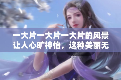 一大片一大片一大片的风景让人心旷神怡，这种美丽无处不在。