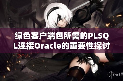 绿色客户端包所需的PLSQL连接Oracle的重要性探讨-来源于CSDN博客