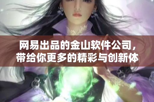 网易出品的金山软件公司，带给你更多的精彩与创新体验