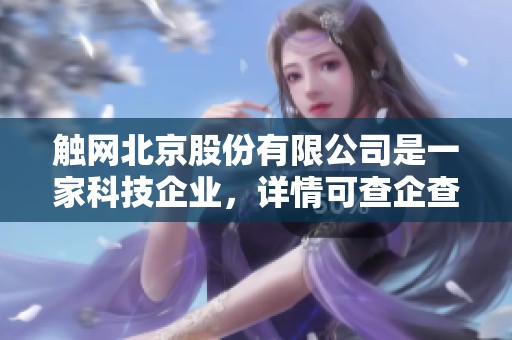 触网北京股份有限公司是一家科技企业，详情可查企查查。
