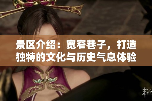 景区介绍：宽窄巷子，打造独特的文化与历史气息体验之地