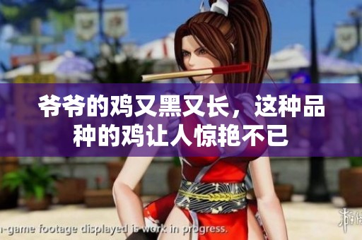 爷爷的鸡又黑又长，这种品种的鸡让人惊艳不已