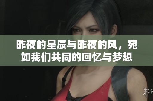昨夜的星辰与昨夜的风，宛如我们共同的回忆与梦想