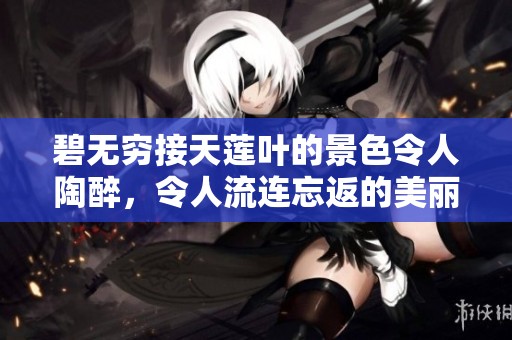 碧无穷接天莲叶的景色令人陶醉，令人流连忘返的美丽画卷。