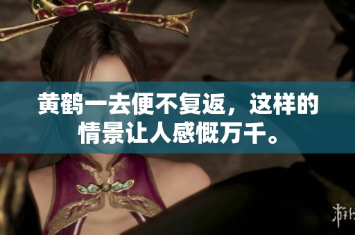 黄鹤一去便不复返，这样的情景让人感慨万千。