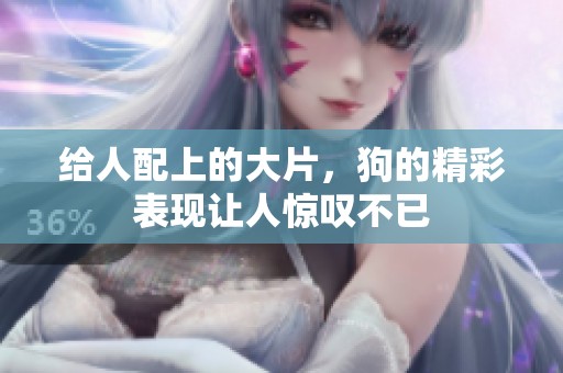 给人配上的大片，狗的精彩表现让人惊叹不已