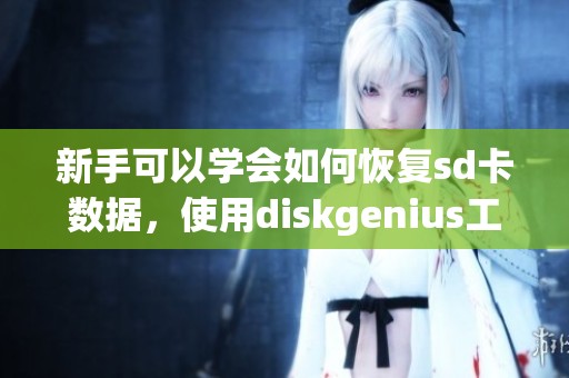 新手可以学会如何恢复sd卡数据，使用diskgenius工具和命令提示技巧