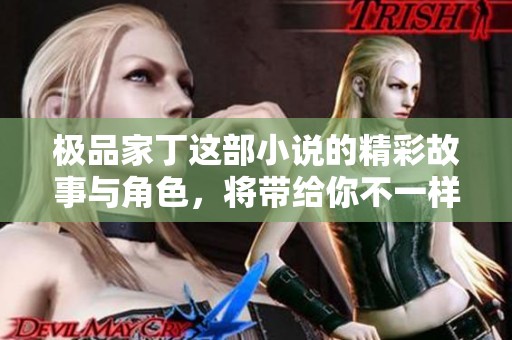 极品家丁这部小说的精彩故事与角色，将带给你不一样的阅读体验。