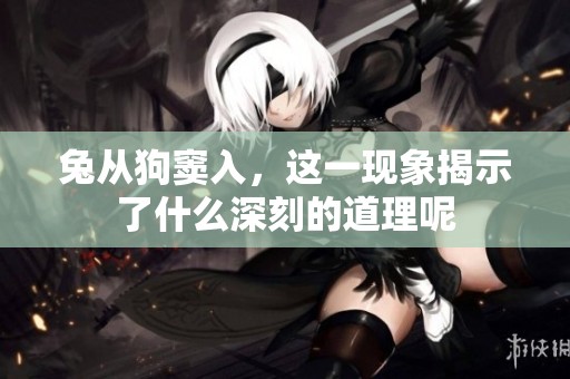 兔从狗窦入，这一现象揭示了什么深刻的道理呢