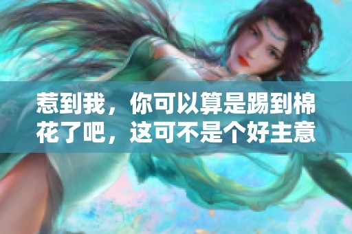 惹到我，你可以算是踢到棉花了吧，这可不是个好主意哦