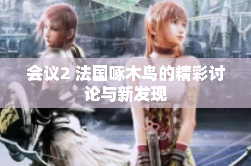 会议2 法国啄木鸟的精彩讨论与新发现