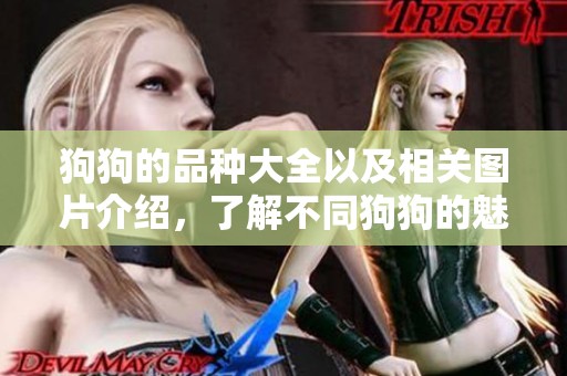 狗狗的品种大全以及相关图片介绍，了解不同狗狗的魅力与特点