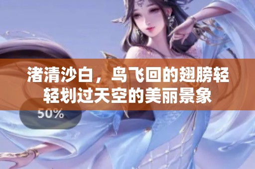 渚清沙白，鸟飞回的翅膀轻轻划过天空的美丽景象
