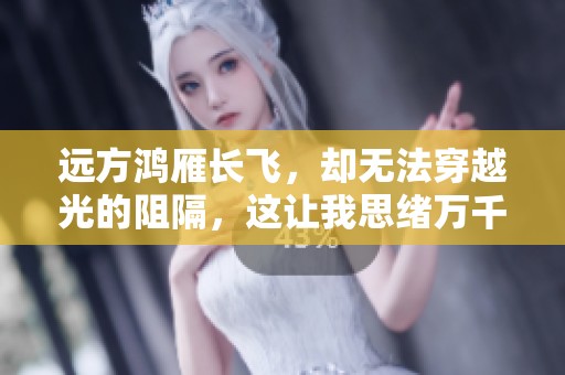 远方鸿雁长飞，却无法穿越光的阻隔，这让我思绪万千
