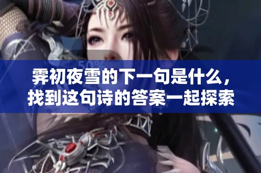 霁初夜雪的下一句是什么，找到这句诗的答案一起探索吧