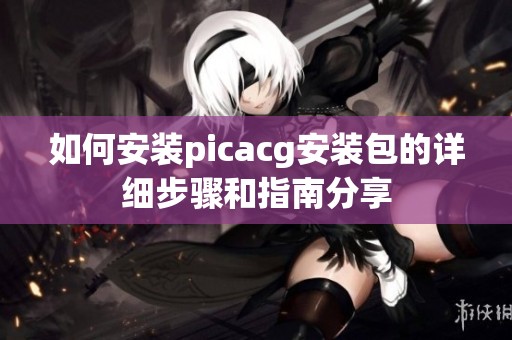 如何安装picacg安装包的详细步骤和指南分享