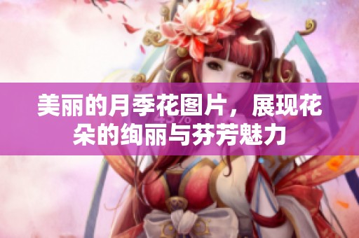 美丽的月季花图片，展现花朵的绚丽与芬芳魅力