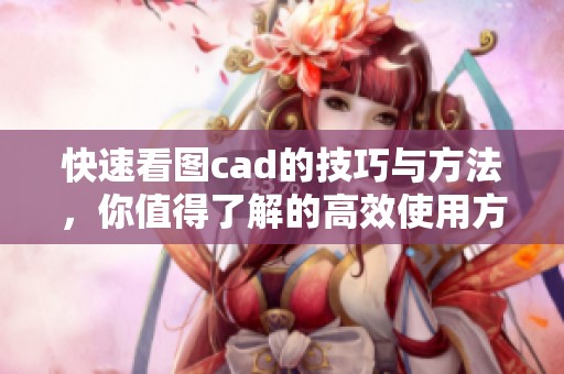 快速看图cad的技巧与方法，你值得了解的高效使用方式