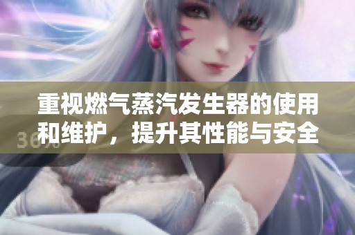 重视燃气蒸汽发生器的使用和维护，提升其性能与安全性成为关键