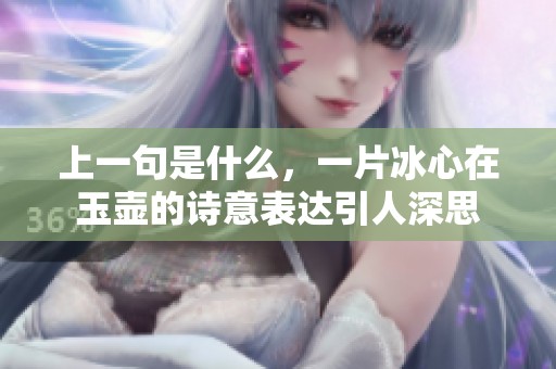上一句是什么，一片冰心在玉壶的诗意表达引人深思