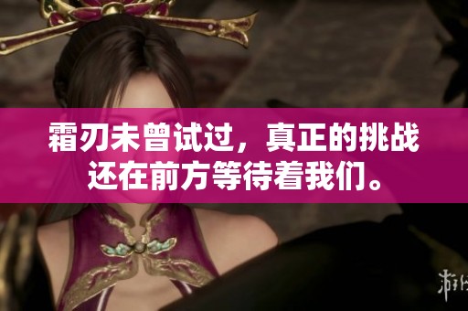 霜刃未曾试过，真正的挑战还在前方等待着我们。