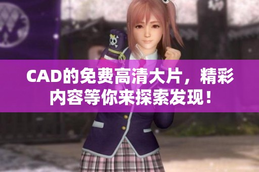 CAD的免费高清大片，精彩内容等你来探索发现！