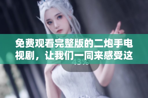 免费观看完整版的二炮手电视剧，让我们一同来感受这部作品的魅力。