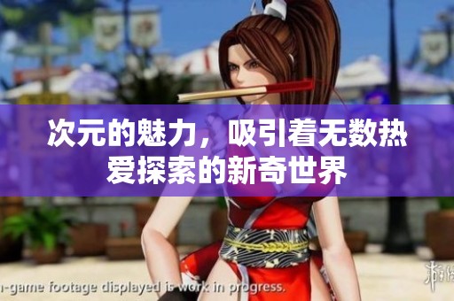 次元的魅力，吸引着无数热爱探索的新奇世界