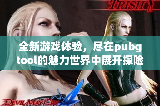 全新游戏体验，尽在pubgtool的魅力世界中展开探险！
