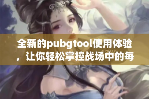 全新的pubgtool使用体验，让你轻松掌控战场中的每一个细节