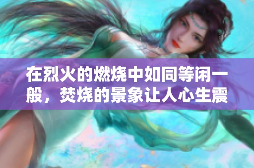 在烈火的燃烧中如同等闲一般，焚烧的景象让人心生震撼