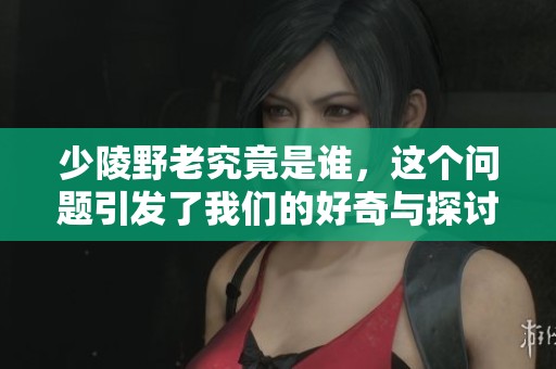 少陵野老究竟是谁，这个问题引发了我们的好奇与探讨