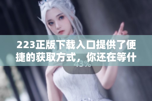 223正版下载入口提供了便捷的获取方式，你还在等什么赶快来下载吧