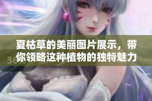 夏枯草的美丽图片展示，带你领略这种植物的独特魅力