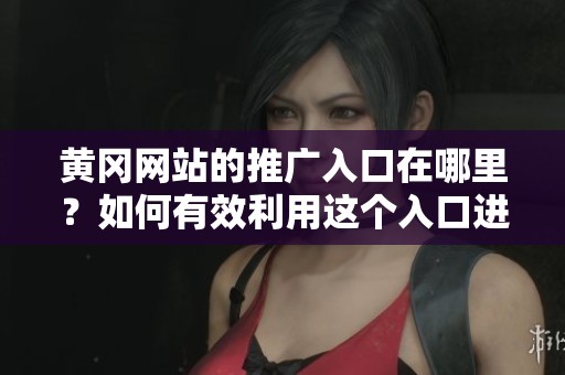 黄冈网站的推广入口在哪里？如何有效利用这个入口进行网站推广？