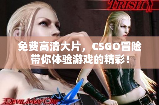 免费高清大片，CSGO冒险带你体验游戏的精彩！