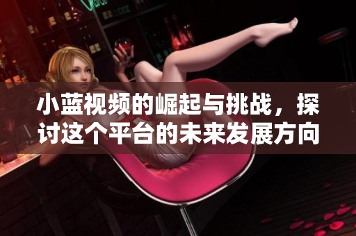 小蓝视频的崛起与挑战，探讨这个平台的未来发展方向