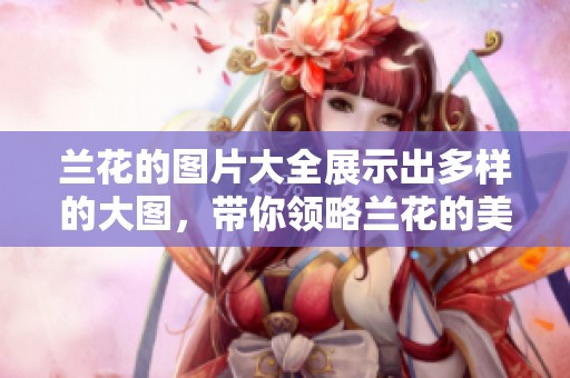 兰花的图片大全展示出多样的大图，带你领略兰花的美丽世界