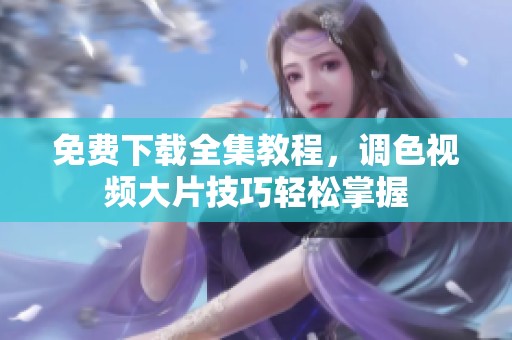 免费下载全集教程，调色视频大片技巧轻松掌握