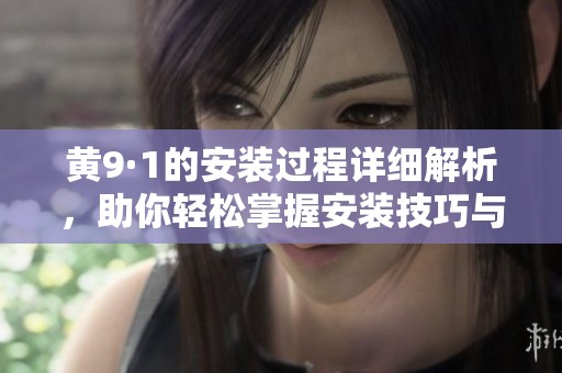 黄9·1的安装过程详细解析，助你轻松掌握安装技巧与注意事项
