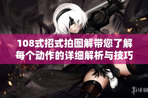 108式招式拍图解带您了解每个动作的详细解析与技巧