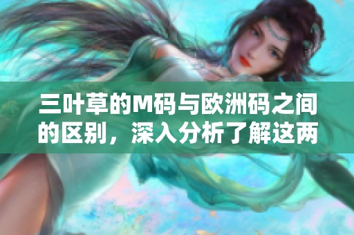三叶草的M码与欧洲码之间的区别，深入分析了解这两者的不同之处。
